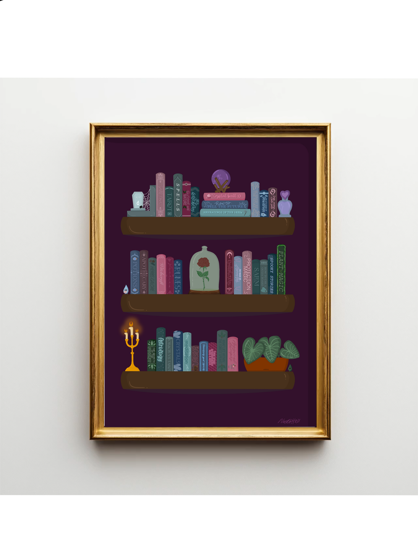 The Witches Bookshelf Print