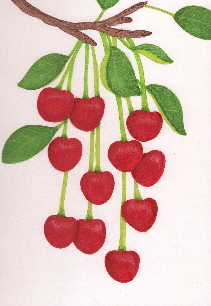 Charming Cherries Art Print