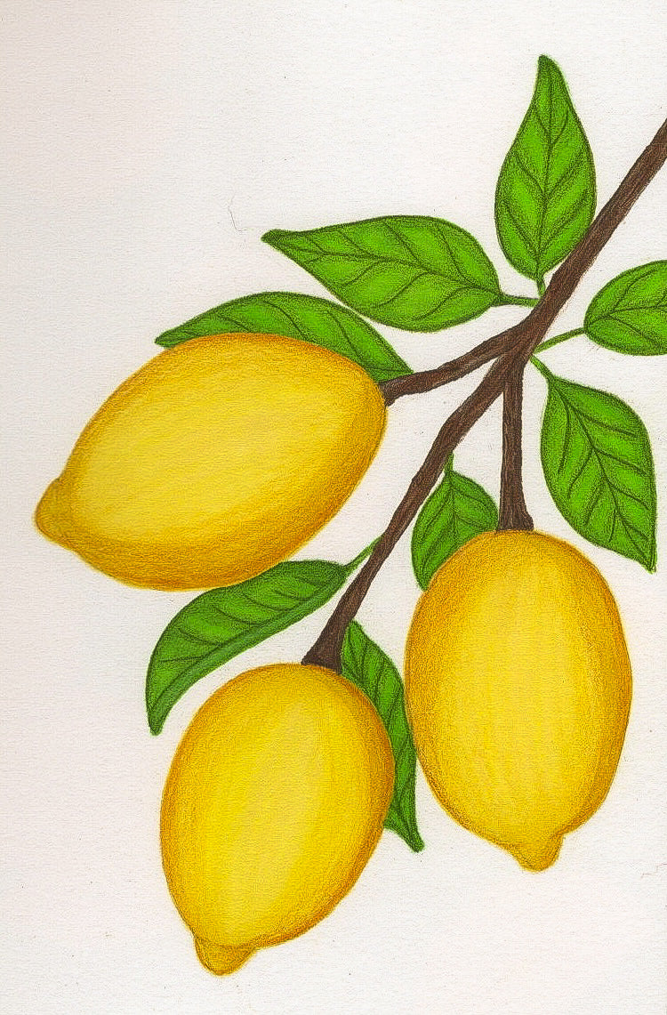Lucky Lemons Art Print